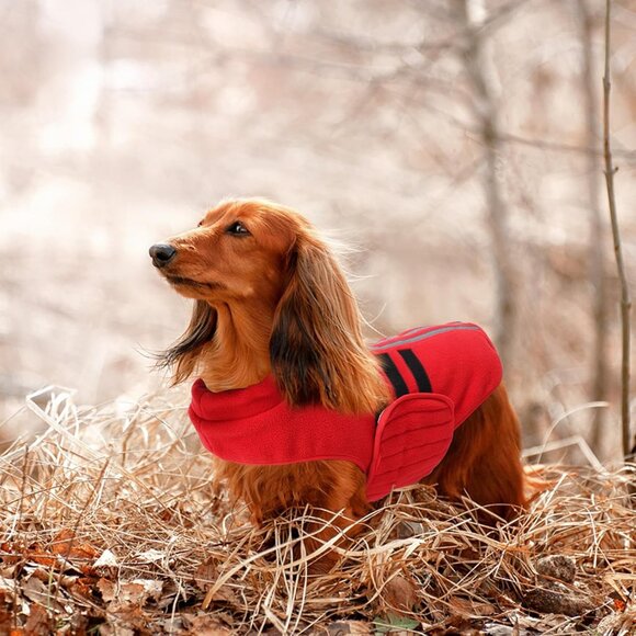 Faihats Other - Dachshund Sweater,Small Dog Sweaters